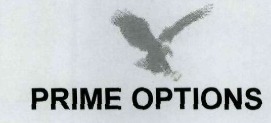 Prime Options Device mark 1971008 Trademark