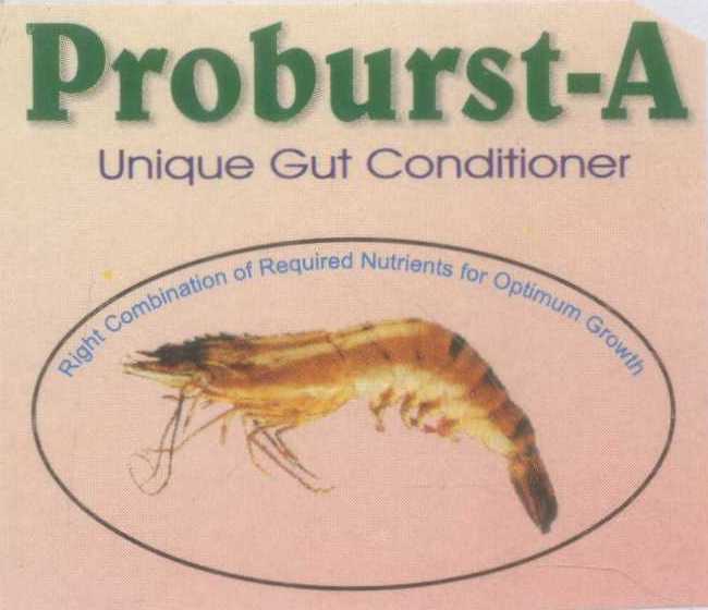 Proburst-a (label) Device mark 989590 Trademark