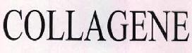 Collagene Device mark 2499634 Trademark