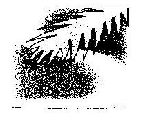 Device Of Leaf Device mark 819780 Trademark