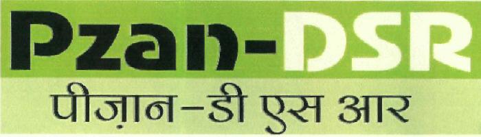 Pzan Dsr (device) Device mark 2404002 Trademark