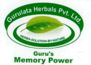 Guru's Memory Power Device mark 2386309 Trademark
