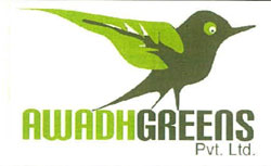 Awadhgreens Pvt. Ltd. With Device Of Bird Device mark 2395357 Trademark