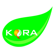 Kqra Device mark 2852873 Trademark