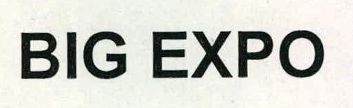 Big Expo Device mark 2228967 Trademark
