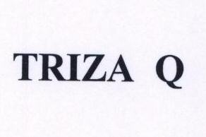 Triza Q Device mark 1466793 Trademark
