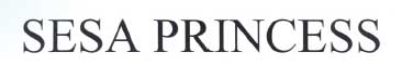 Sesa Princess Device mark 1979445 Trademark