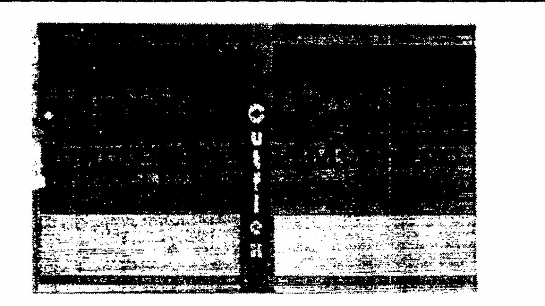 Cutflex Device mark 615758 Trademark