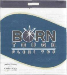 Born Tough Device mark 1560546 Trademark
