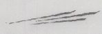 Stripes Design Device mark 1041157 Trademark
