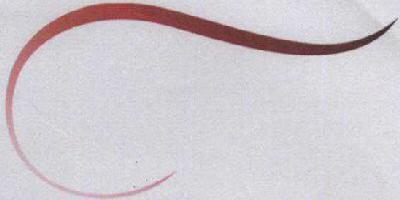 No Name Device mark 1714530 Trademark