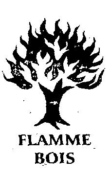 Flamme Bois(label) Device mark 2129726 Trademark