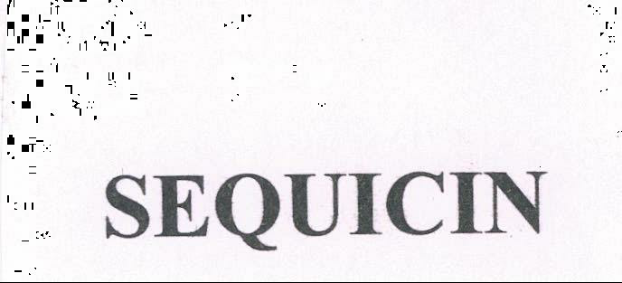 Sequicin Device mark 2071582 Trademark