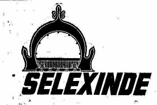 Selexinde Device mark 231476 Trademark