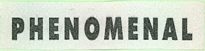 Phenomenal Device mark 2287243 Trademark