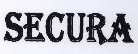 Secura Device mark 1773152 Trademark