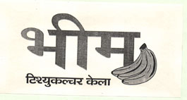 Bhim ( Dev. Of Banana ) Device mark 1285456 Trademark