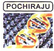 Pochiraju Device mark 1777690 Trademark