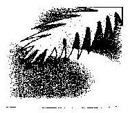Misc. Geom. (device) Device mark 819764 Trademark
