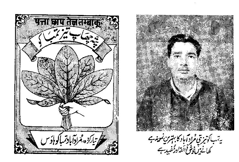patta chhap tobacco Patta Chhap Tej Tambaku