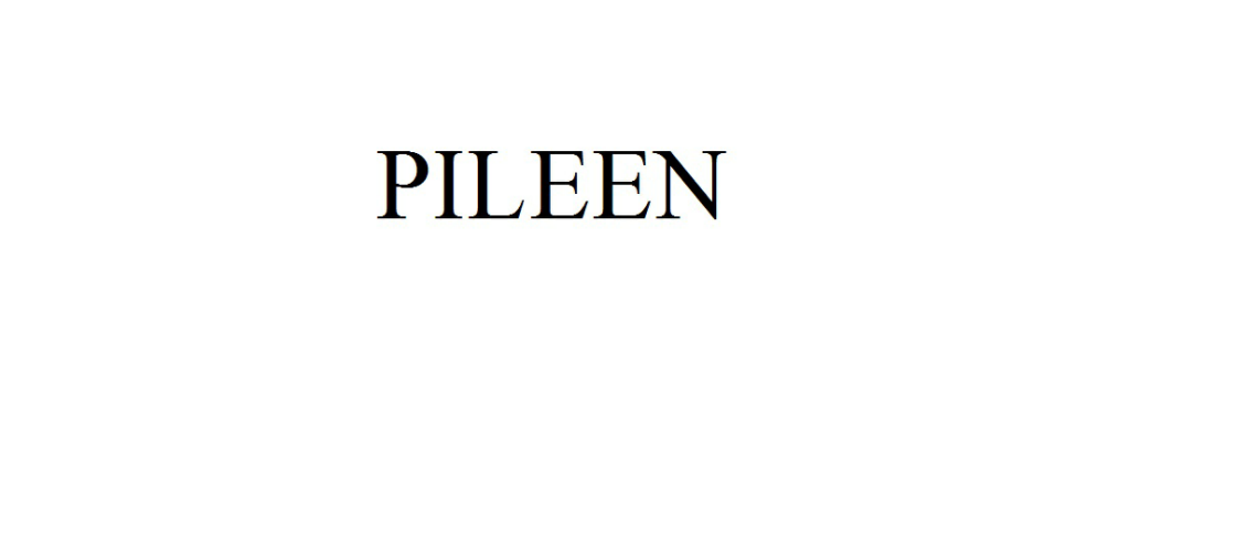 Pileen Device mark 2069736 Trademark