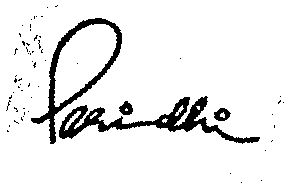 Paridhi Device mark 995975 Trademark