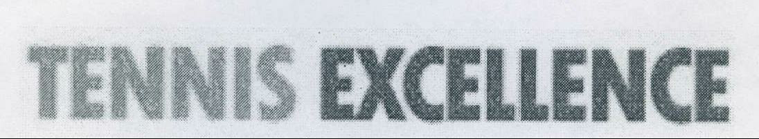 Tennis Excellence Device mark 2162887 Trademark