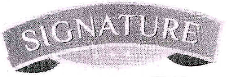 Signature Device mark 2991811 Trademark