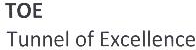 Toe, Tunnel Of Excellence Device mark 1895159 Trademark