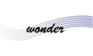 Wonder Device mark 2936551 Trademark