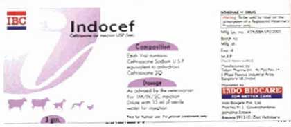 Indocef , [ibc,i, Company Logo, Label] Device mark 1424432 Trademark