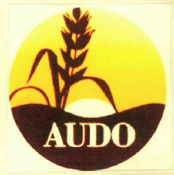 Audo Device mark 2960890 Trademark