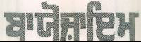'biozyme' (punjabi Language) Device mark 1505039 Trademark