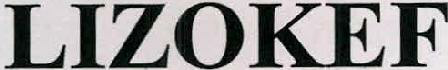 Lizokef Device mark 2341806 Trademark