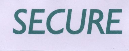 Secure Device mark 1958412 Trademark