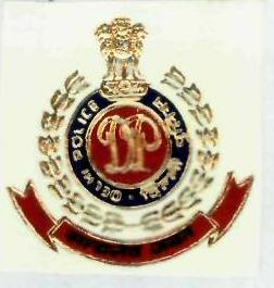 D P Device mark 1910243 Trademark