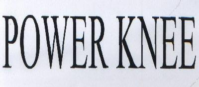 Power Knee Device mark 1754900 Trademark