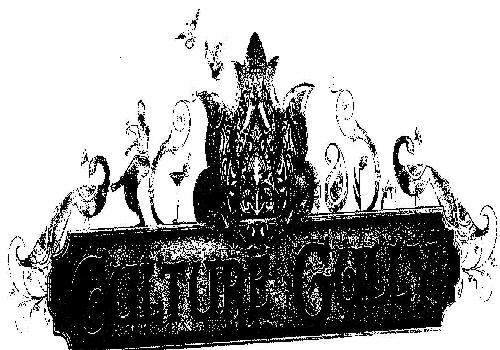 Gulture Gully Device mark 1995527 Trademark