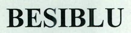Besiblu Device mark 2384397 Trademark