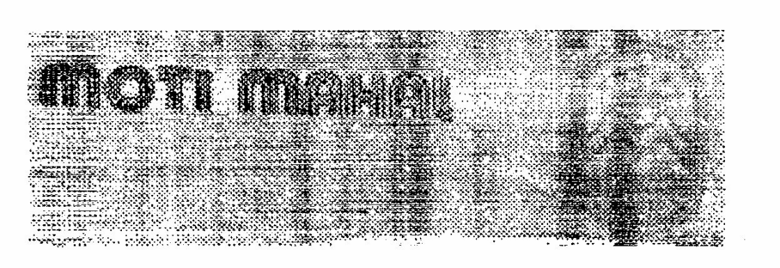 Moti Mahal Device mark 661711 Trademark