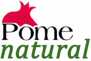 Pome Natural Device mark 1867399 Trademark