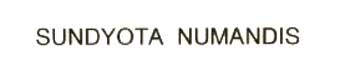 Sundyota Numandis Device mark 2019477 Trademark