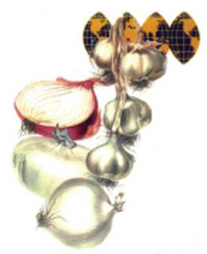 Device Of Garlic, Onion And Globe Device mark 1387182 Trademark