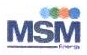 Msm Device mark 2155020 Trademark