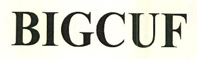 Bigcuf Device mark 2636649 Trademark