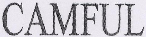 Camful Device mark 1529744 Trademark