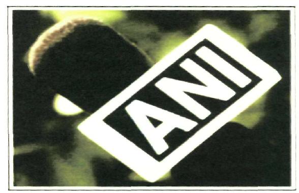 Ani (label) Device mark 2395990 Trademark