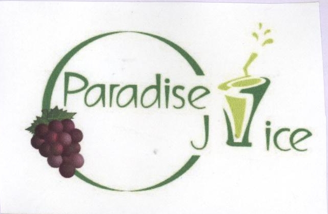 Paradise Juice Device mark 1974516 Trademark