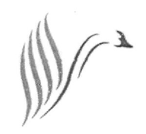 Device Device mark 2544962 Trademark