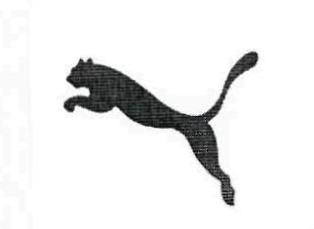 Device Of Tiger Device mark 2967783 Trademark